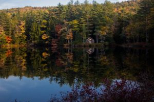 Fall in the Lake