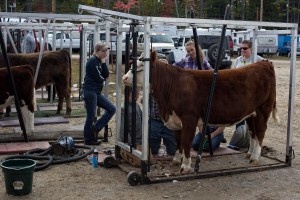 fryeburg-leecamerawork207   