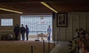fryeburg-leecamerawork210   